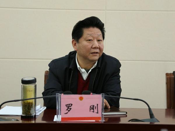 黄冈市人大常委会代理主任罗刚到市院调研