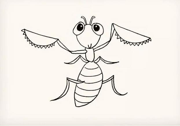 螳螂的国画简笔画