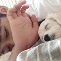 那些没说出口的思念,都变成了黑眼圈,男生头像图片