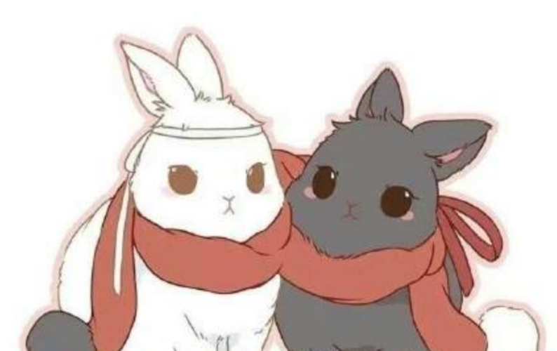 《魔道祖师》q版人物,蓝忘机和魏无羡化身小兔子,网友:这也太可爱了吧