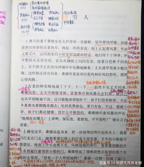 最新六年级上册语文第13课《穷人》详细笔记