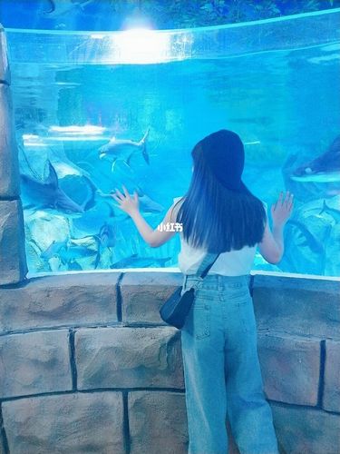 沧州海洋馆959595_海洋馆_童年_出行_人文风光