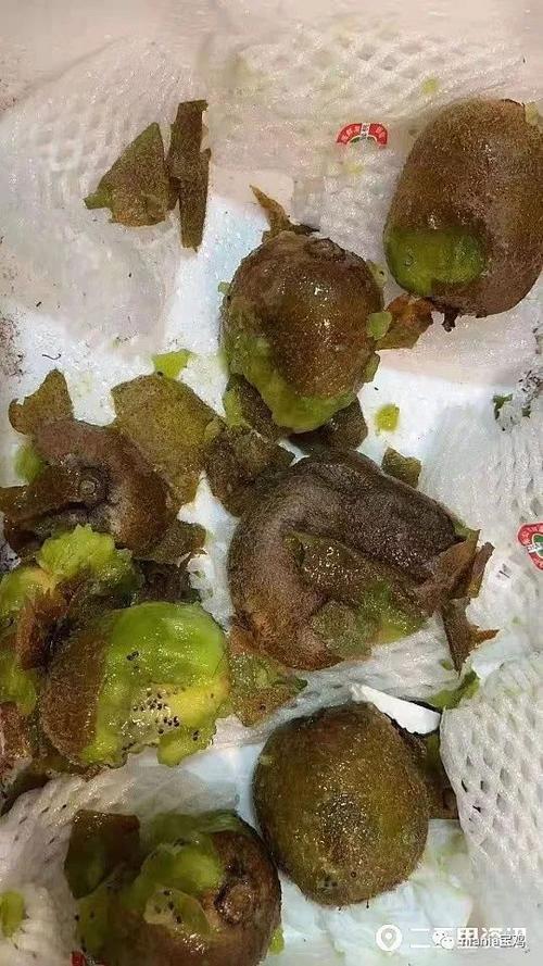 宝鸡果农寄出76箱猕猴桃 因邮政快递滞留3天坏了一大半