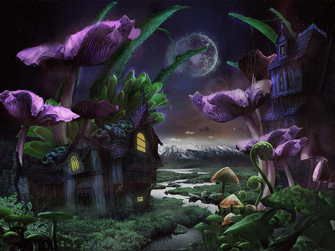 魔幻场景|插画|商业插画|多多的绿萝花窗 - 原创作品