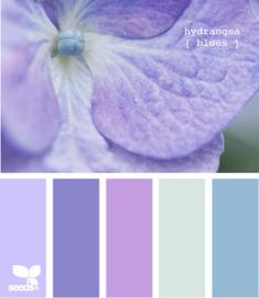 色彩版# #配色#····jnimini····采集