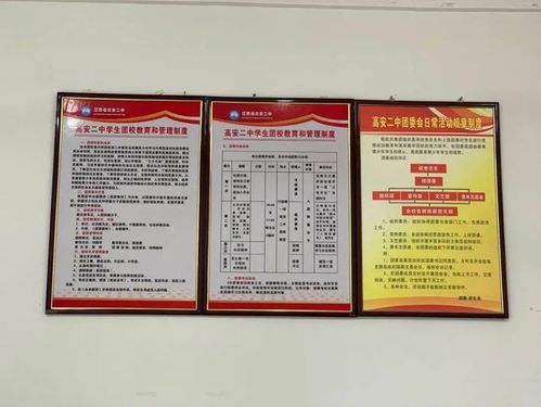 我市首批中学团校正式建立啦!