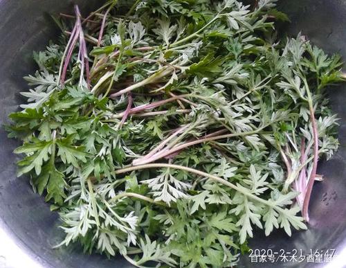 山坡上摘一把艾蒿做青团,清香软糯,唇齿留香,吃出儿时
