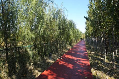 大运河景观带——泊头段