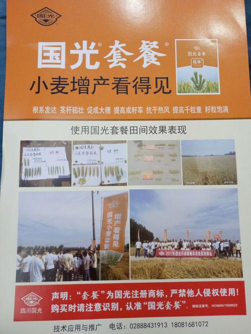 小麦高产套餐:矮丰套餐 优丰套餐.