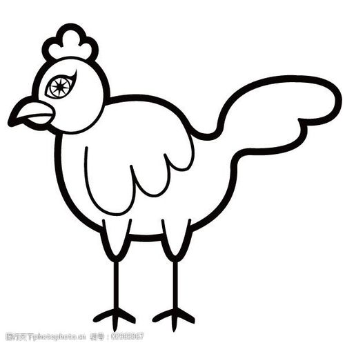 印花矢量图动物鸡色彩黑白色免费素材