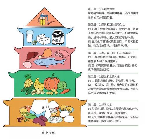 膳食宝塔:宝宝膳食结构的最佳参考