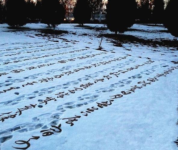 雪景迎春枝头白,红白辉影千万家.敢向千古笑天下,谁识漫漫起飞沙