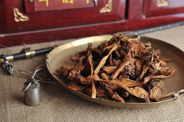 盐菟丝子(壮阳最快最猛的中药)