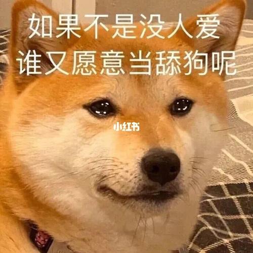 狗头表情包_表情包_素材_表情包