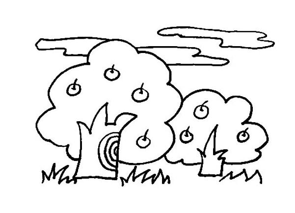 金秋时节-秋天简笔画图片大全