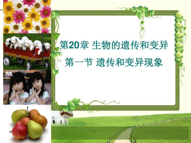 遗传和变异现象.pdf 41页