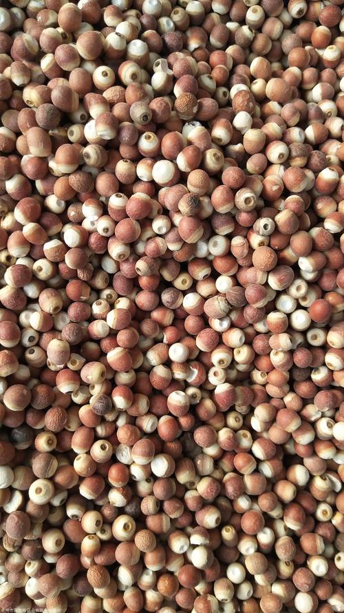 中药材芡实的功效与作用