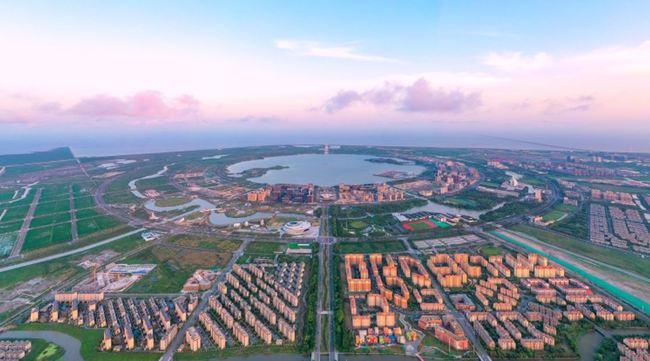 临港集团将创新基因融入产业发展血液中