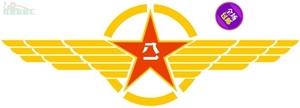 五星车贴军标