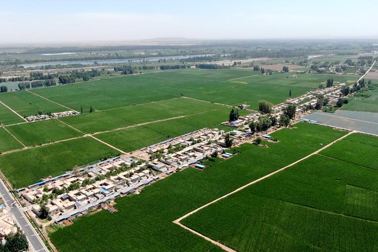 临泽县人民政府