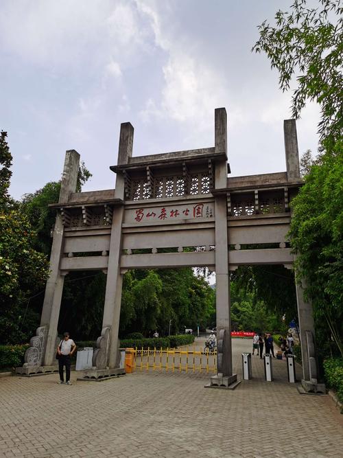 合肥大蜀山森林公园行20200609