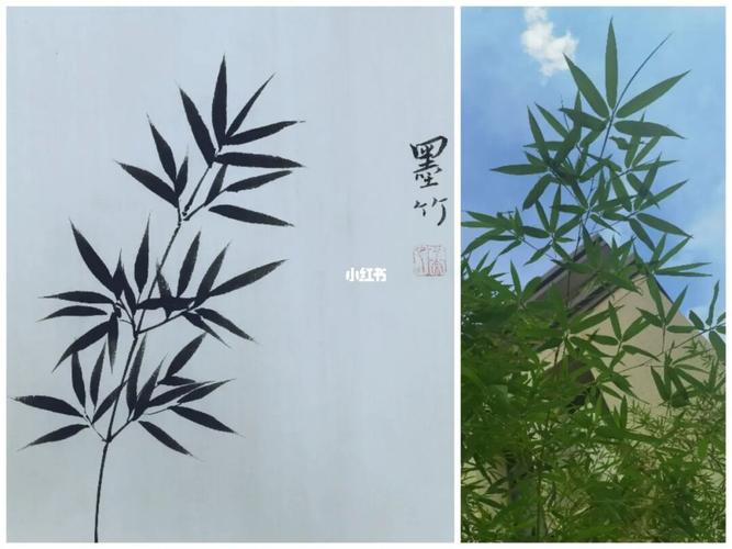 粗放式写生竹子_写生_国画_文化_绘画