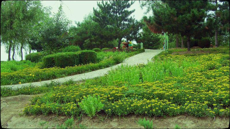 【原创】内蒙通辽森林公园