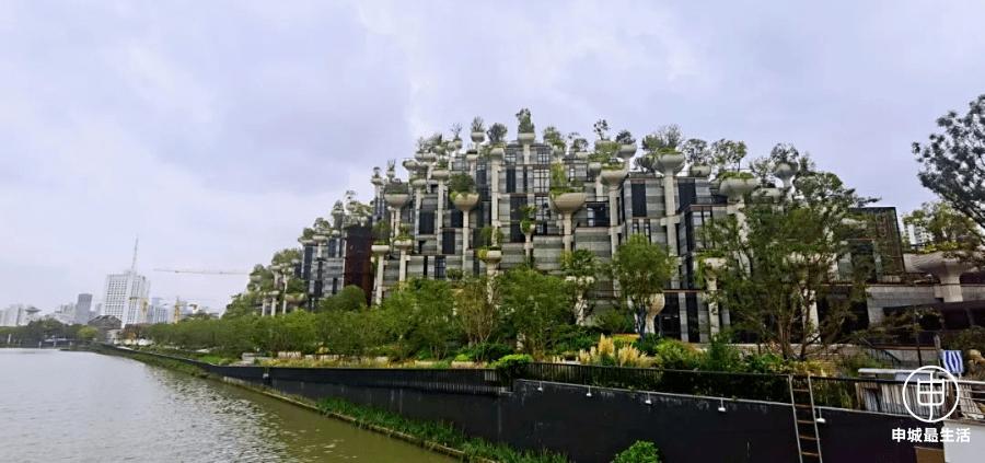 91by:yoco没有什么能够阻止人们对城市花园的向往,上海天安千树有