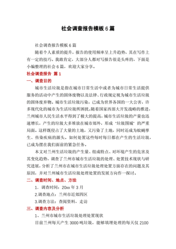 社会调查报告模板6篇.docx 5页