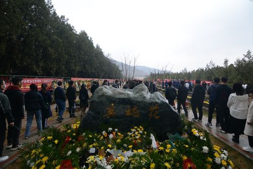 缅怀先烈,致敬英雄——信息学院组织师生前往华林山革命烈士陵园开展