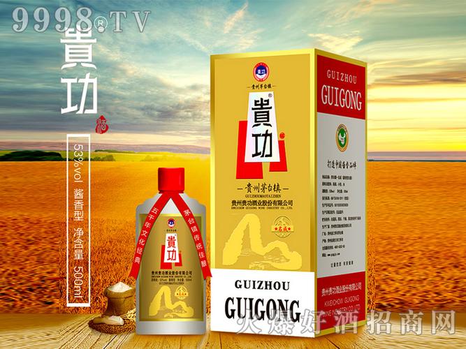 贵州贵功酒业股份有限公司