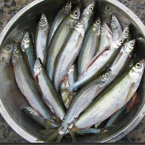 湖南特产腊鱼洞庭湖游叼子烟熏叼子鱼淡水鱼火培鱼白叼鱼1斤