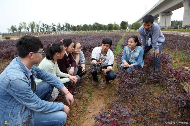 大学生村官怎么报考有哪些报考条件报考之后有什么优势