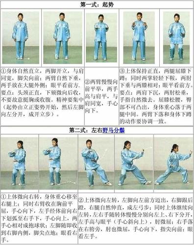 二十四式太极拳_图解 记忆口诀