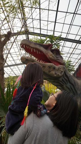 恐龙馆漫记1:丛林猎奇 北京市呀路古热带植物园恐龙馆