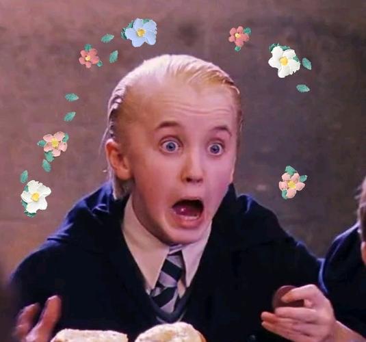 德拉科马尔福头像少爷好帅