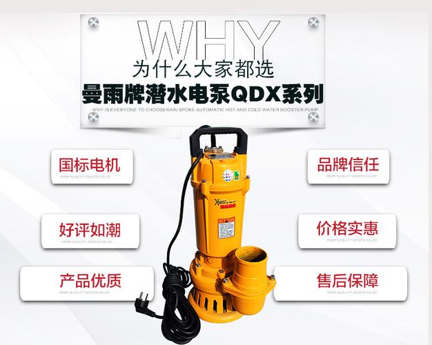 3寸4寸灌溉农用水泵大流量潜水泵220v电动抽水泵清水抽水.