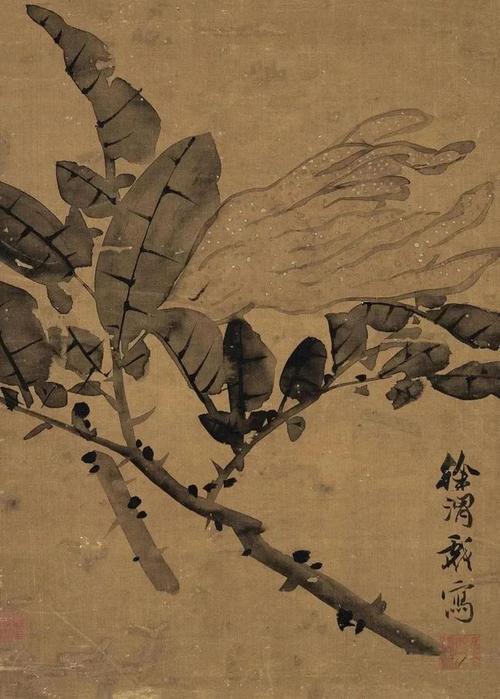 古书画:徐渭书画大展,60件作品,精彩极了!