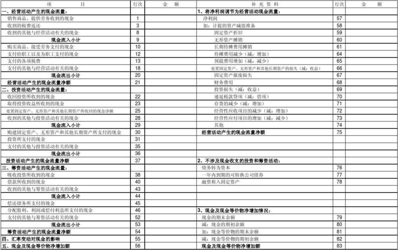现金流量表自动生成空白模板a