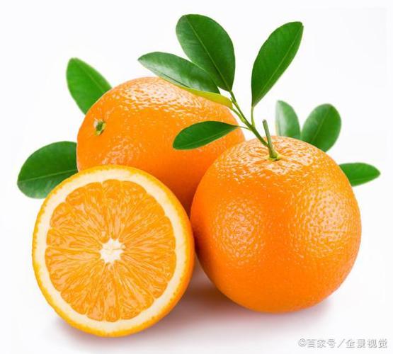 中国姓氏趣集 榴桃柿杏,橘柚柑橙,这些常见水果,竟然