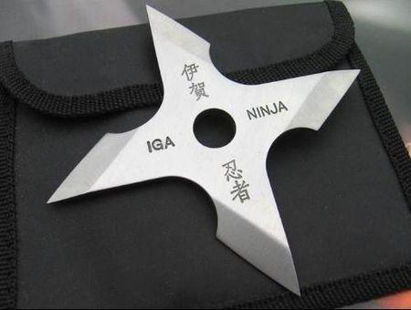 忍者飞镖长什么样子