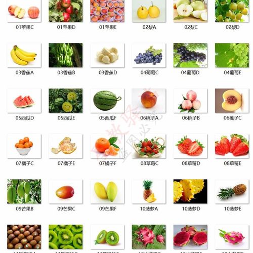 水果动物生活用品食物蔬症相似配对卡菜自闭症孤独片