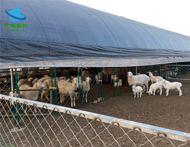 羊棚搭建羊棚建设成本羊棚建设