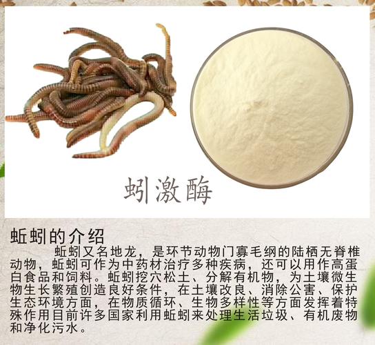 蚓激酶20000iu/g 活性地龙蛋白 地龙提取物 蚓激酶粉