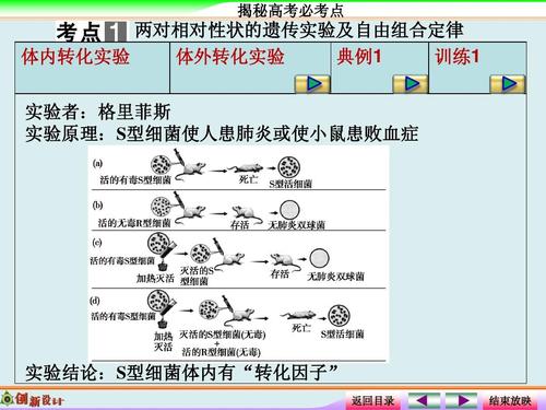 2.1通过神经系统的调节(人教版)