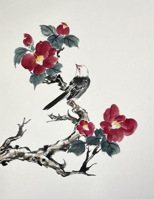 《鲜红几朵破琼瑶》～山茶花_山茶花_国画_钛白_白头