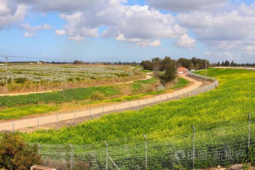 在以色列的早春.绿色的田野和农村弯曲道路的乡村