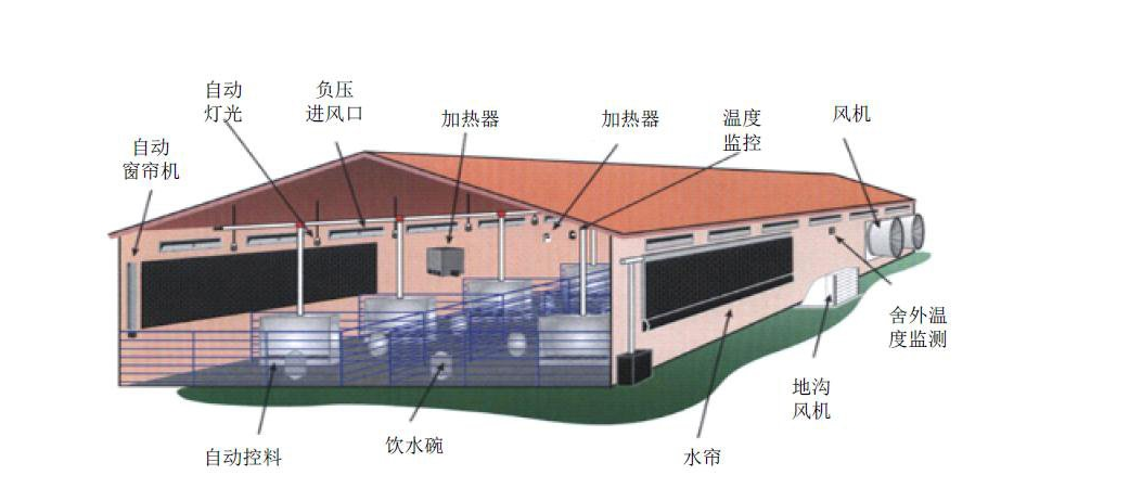 4,猪场结构:分为上,中,下三层结构,上层为水电通道,中层行走及转群