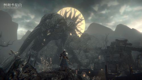 帕斯卡契约新手角色怎么加点?新手角色加点推荐[视频][多图]