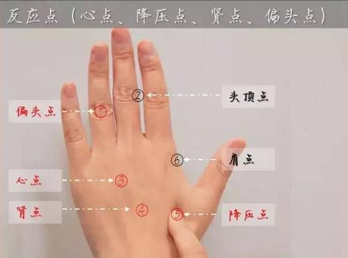 手部按摩降血压